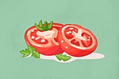 Vibrant Tomato Slices Illustration on Green Background