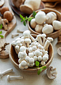 Assortment of different raw mushrooms on a grey concrete background