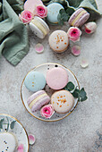 Beautiful colourful delicious macaroons on a concrete background