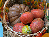 Autumn harvest festival with vibrant pumpkins and decorations