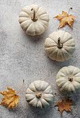 White decorative pumpkins