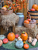 Vibrant autumn harvest display with festive Halloween decor