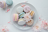 Beautiful colourful delicious macaroons on a white tiled background