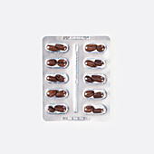 Blister pack of coffee bean shaped pills on a white background, suggesting a medicinal or health-related concept tied to caffeine or energy boosting