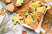 Multicolored autumn homemade cookies in a gift box