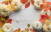 Herbstblätter und Kürbisse vor altem Holzhintergrund