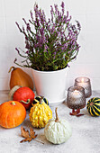 Creative autumn fall thanksgiving day composition with decorativ