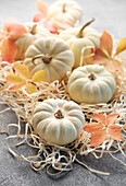 Autumn leaves and pumpkins on a grey concrete background