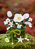 Winter Dekoration aus Christrose (Helleborus niger), Schneebeeren (Symphoricarpos) und Silberblatt (Lunaria annua), Sterne aus Rinde