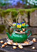 Blumenstrauß aus Garten-Stiefmütterchen (Viola wittrockiana) in Teekanne