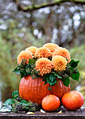 Herbstliches Arrangement mit Kürbisvase, Dahlien (Dahlia) auf Holztisch