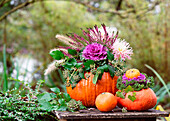 Herbstliches Arrangement mit Kürbisvase, Gemüsekohl (Brassica oleracea), Efeu (Hedera helix), Dahlien (Dahlia) auf Holztisch