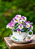 Frühlingsstrauß aus Garten-Stiefmütterchen (Viola wittrockiana) und Vergissmeinnicht (Myosotis) in Tasse