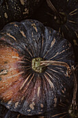 Pumpkin in autumnal colours