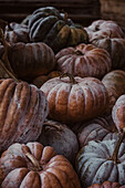 A pile of harvested pumpkins