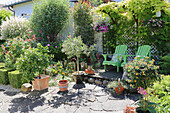 Sitzplatz mit grünen Adirondack-Stühlen im mediterranen Garten