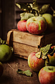 Herbstliches Apfelstillleben