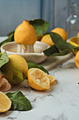 Whole and squeezed lemons with leaves