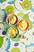 Exotic fruit ice cream (sugar-free)