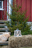 Rustikale Winterdekoration mit Laterne und Heuballen vor roter Holzwand