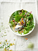 Wild herb salad with blue cheese and nuts