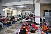 Dengue fever patients, Bangladesh