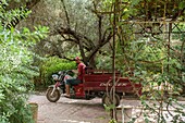 Morocco, Marrakesh, Beldi Country Club, Story: The stunning charm of the Beldi greenhouses