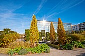 Frankreich, Paris, Andre Citroën Park im Herbst