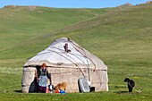 Kyrgyzstan, Naryn province, Son-Kol lake, altitude 3000m, woman walking out of her yurt