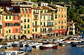 Italien, Ligurien, Riviera ligure, Naturpark von Portofino, Dorf Portofino