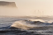 Island, Sudurland, Vik, Sturm, schwarze Sandstrände von Reynisfjara und Kirkjufara, Nadeln von Reynisdrangar