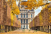 France, Paris, the Tuileries garden in autumn, terrace of the water's edge and the pavilion of the Louvre