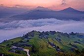 Vietnam, Ha Giang, Hoang Su Phi, a La Chi erthnic group village among rice fields in terrace