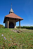 Frankreich, Vogesen, Saint Ame, Saint Mont, Überreste eines Klosters, das dem Heiligen Colomban geweiht war, die Kapelle