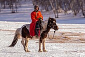 China, Innere Mongolei, Provinz Hebei, Zhangjiakou, Bashang-Grasland, ein mongolischer Reiter auf einem Pferd läuft auf einer schneebedeckten Wiese