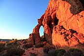 South Africa, Western Cape, Sunrise over a granite rock formation in the heart of the Cederberg Massif