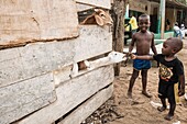 Ivory Coast, Grand Bassam, kids feeding goats