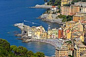 Italien, Ligurien, Riviera di Levante, Portofino, Camogli