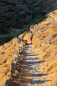 Greece, Cyclades archipelago, Andros island, hike number 3 between Chora and Ormos Korthi