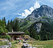 Frankreich, Savoyen, Berg der Vanoise, Pralognan la Vanoise, eine Familie wandert mit einem Esel und durchquert den Weiler La Cholliere und den Felsen von Vallette