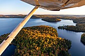 Kanada, Provinz Quebec, Region Mauricie, Flug mit der Firma Hydravion Aventure im Altweibersommer, Cessna 206 über dem borealen Wald (Luftaufnahme)