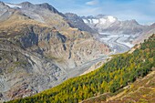 Switzerland, Valais, Aletsch region, home to largest glacier in the Alps, with 20km length