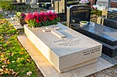 France, Paris, the Montparnasse cemetery in autumn, the grave of Ionesco