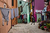 Italy, Veneto, Venice, island of Burano, very colorful fishermen's houses