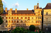 France, Loir et Cher, Loire Valley listed as World Heritage by UNESCO, Blois, the royal castle