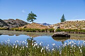 Frankreich, Alpes-Maritimes, Nationalpark Mercantour, kleiner See unter dem Kamm des Morgon