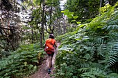 France, Haute-Loire, Monistrol d'Allier, hike on Via Podiensis, one of the French pilgrim routes to Santiago de Compostela or GR 65