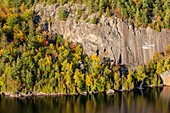 Kanada, Provinz Quebec, Region Mauricie, Flug mit der Firma Hydravion Aventure im Altweibersommer, Cessna 206 über dem borealen Wald (Luftaufnahme)