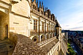 Frankreich, Indre et Loire, Loire-Tal, das von der UNESCO zum Weltkulturerbe erklärt wurde, das Schloss von Amboise