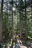 France, Savoie, Mountain of Vanoise, Pralognan la Vanoise, family, grandmother, mother, 2 children, on the discovery trail in the wood of Gliere